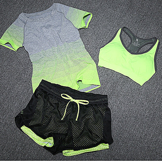 Women’s Striped Breathable Quick-Dry Activewear Set – Short Sleeve Top, Bra & Pants | Lightweight Nylon Performance Outfit