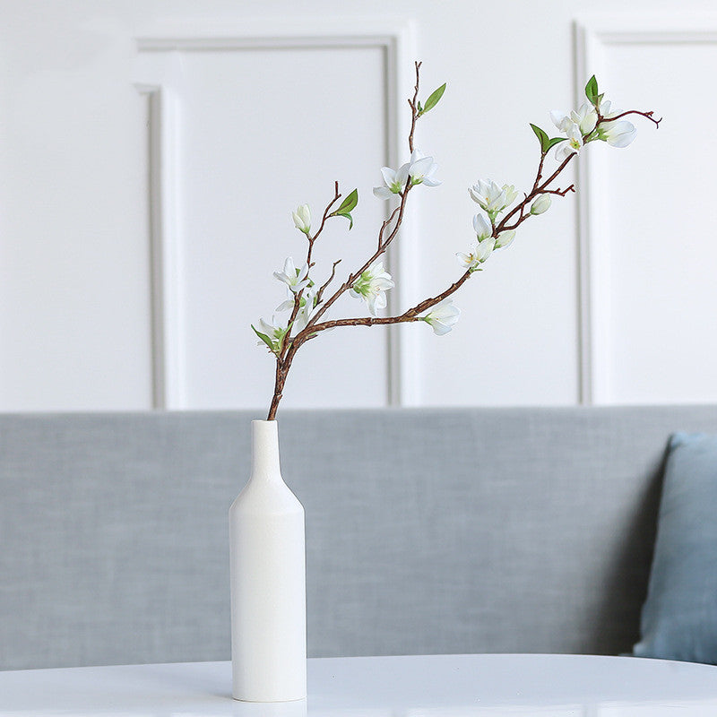 Creative Ceramic Vase – Minimalist Hydroponic Decorative Ornament